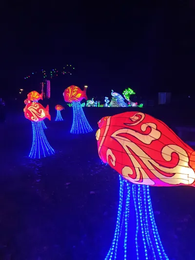 Lichtgevende Karpers 