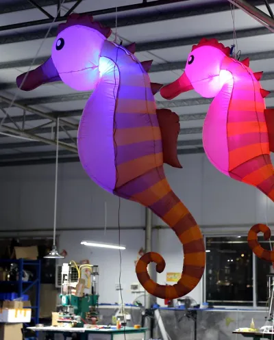 Inflatable Zeepaard