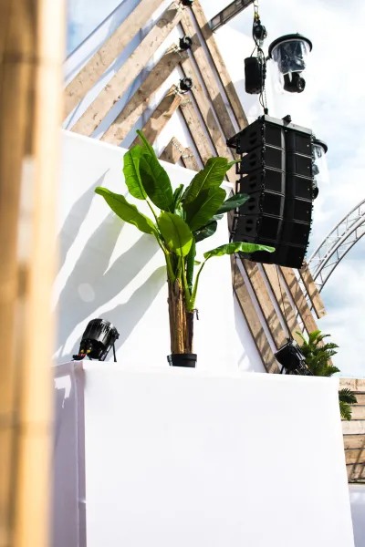 Musa Kunstpalm