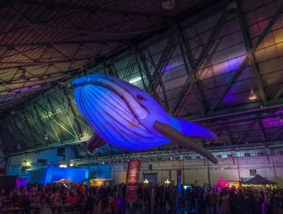 LED Walvis