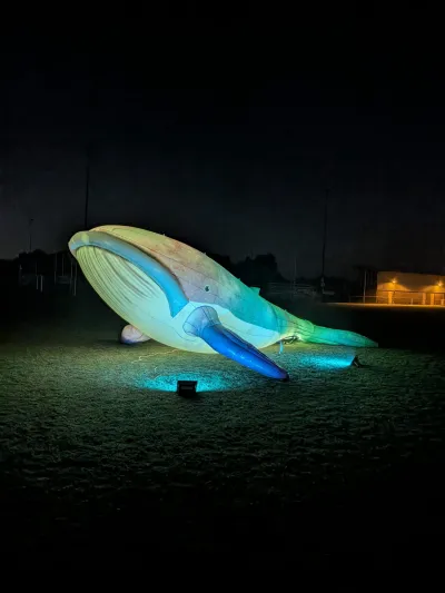 Walvis met LED