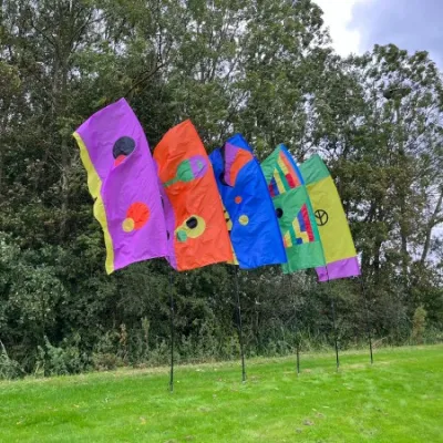 FESTIVAL VLAG PACK 1