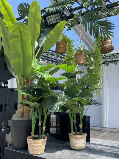 Hangplanten | Greenery | Kunstplantenset