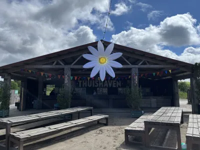 Daisy Flower 3m