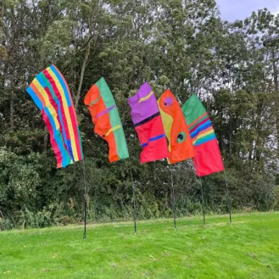 FESTIVAL VLAG PACK 2