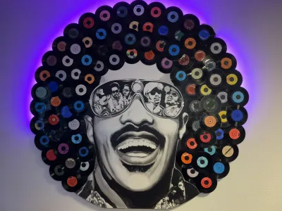 Vintage Vinyl Stevie Wonder decor