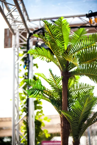 Fiji Kunstpalm