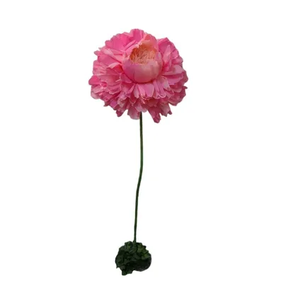 Mega roze roos 