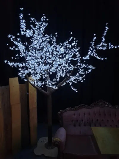 Led Boom 