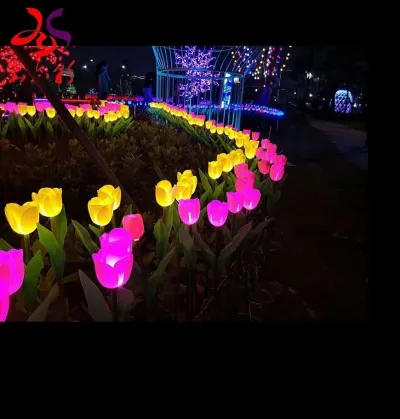 Tulpen velden