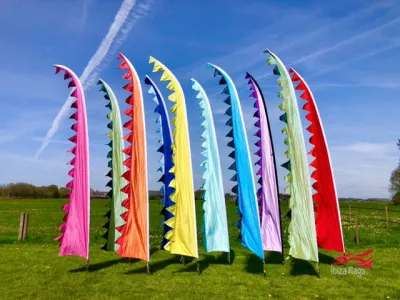 10 FESTIVAL VLAGGEN 5.20m Colormix huren
