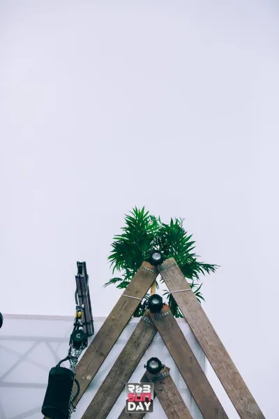 Fishtail Kunstpalm