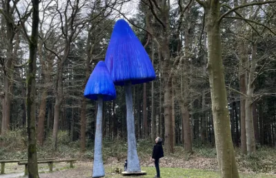 Mushroom 5 meter