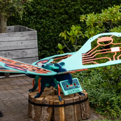 Muziek vlinder