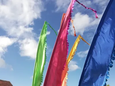 Festival Vlag Dino Pakket (Set van 5)