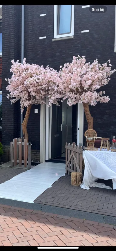 Bloesem bomen