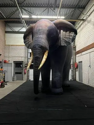 Elephant 4m