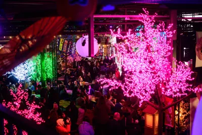 LED Cherry Blossom Boom