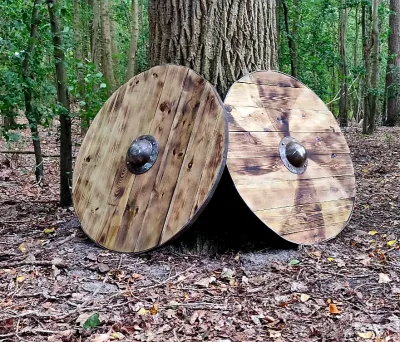 Viking Schilden